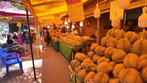 中老鐵路 客貨運雙雙突破5000萬，合作共贏之路改變我們的生活與貨機車配件行業